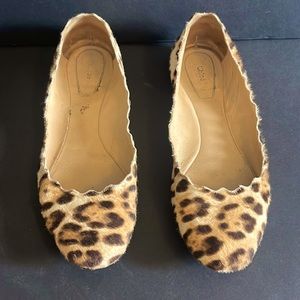 Chloe Animal Print Ballet Flat (size 38.5)
